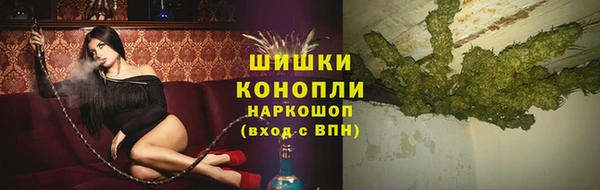 прущие грибы Баксан