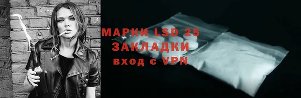 прущие грибы Баксан